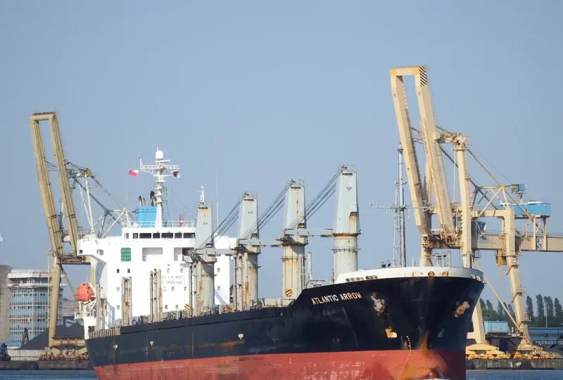 LORD NELSON Bulk Carrier IMO 9296315 photo 10
