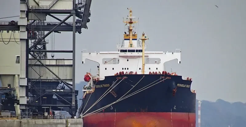 PEDHOULAS TRADER Bulk Carrier IMO 9296626
