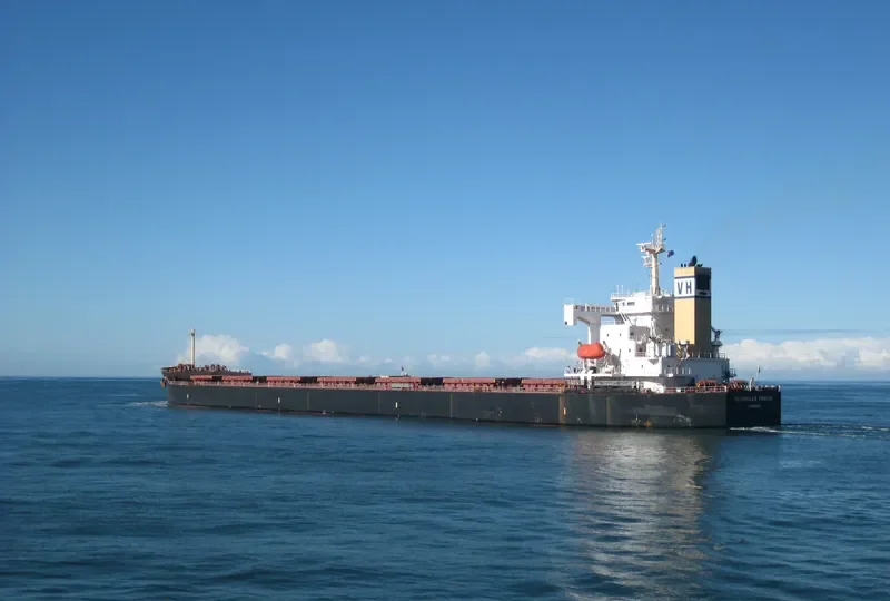 PEDHOULAS TRADER Bulk Carrier IMO 9296626 photo 2