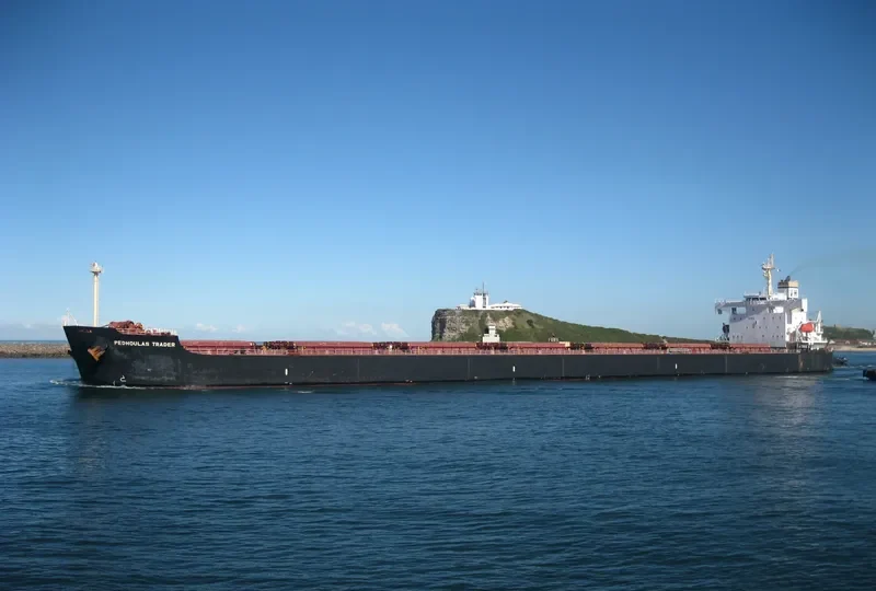 PEDHOULAS TRADER Bulk Carrier IMO 9296626 photo 3