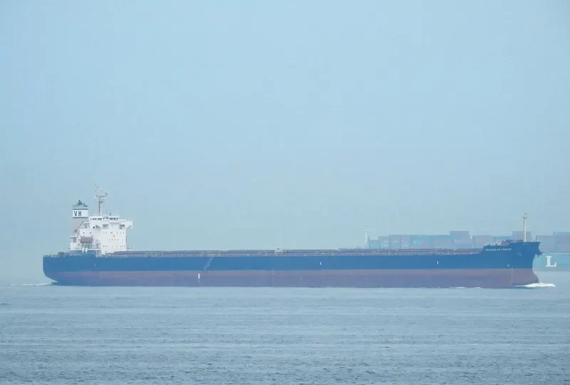 PEDHOULAS TRADER Bulk Carrier IMO 9296626 photo 4