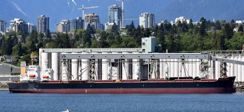 PEDHOULAS TRADER Bulk Carrier IMO 9296626 photo 5