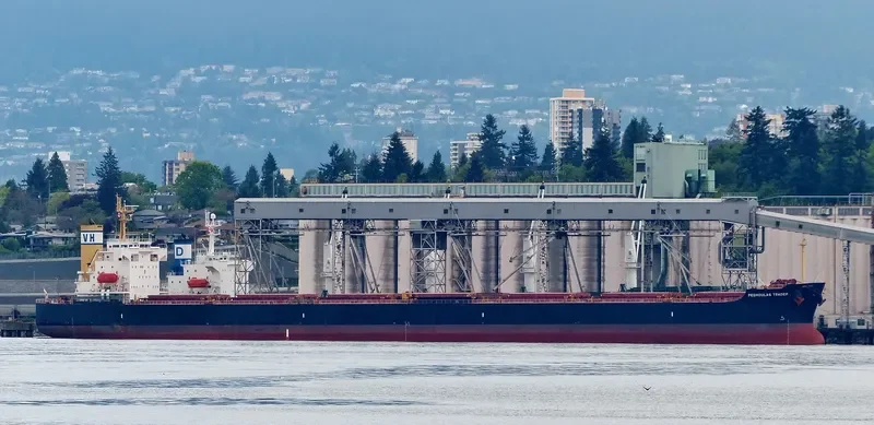 PEDHOULAS TRADER Bulk Carrier IMO 9296626 photo 6