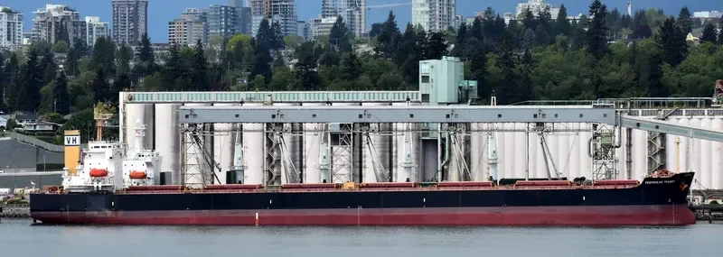 PEDHOULAS TRADER Bulk Carrier IMO 9296626 photo 7
