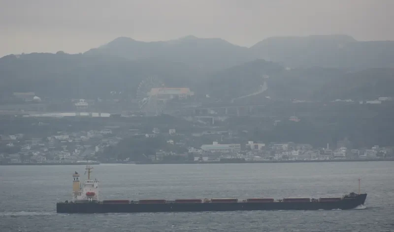 PEDHOULAS TRADER Bulk Carrier IMO 9296626 photo 8