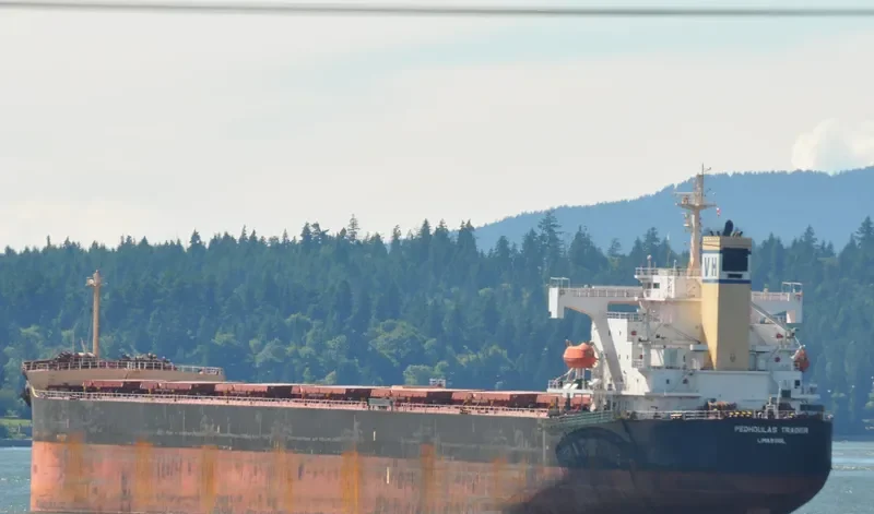 PEDHOULAS TRADER Bulk Carrier IMO 9296626 photo 9