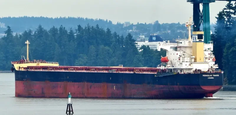 PEDHOULAS TRADER Bulk Carrier IMO 9296626 photo 10