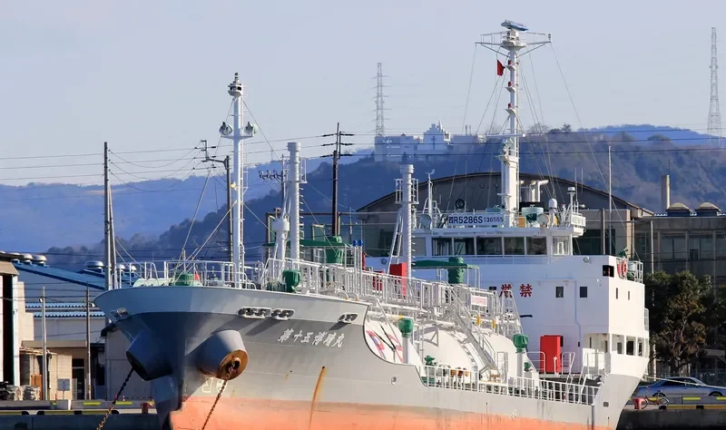 HAKUSEI MARU NO.15 General Cargo IMO 9296688 photo 2