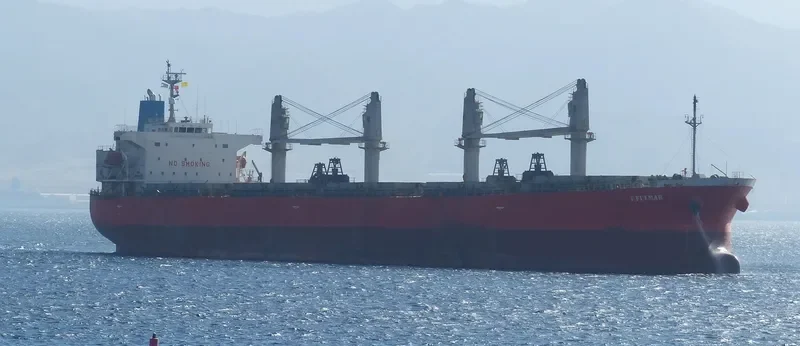 TULIP 18 Bulk Carrier IMO 9296743