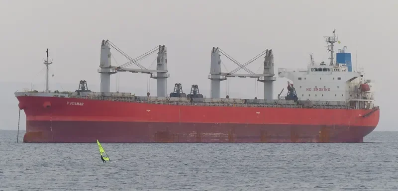 TULIP 18 Bulk Carrier IMO 9296743 photo 3