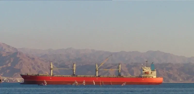TULIP 18 Bulk Carrier IMO 9296743 photo 5