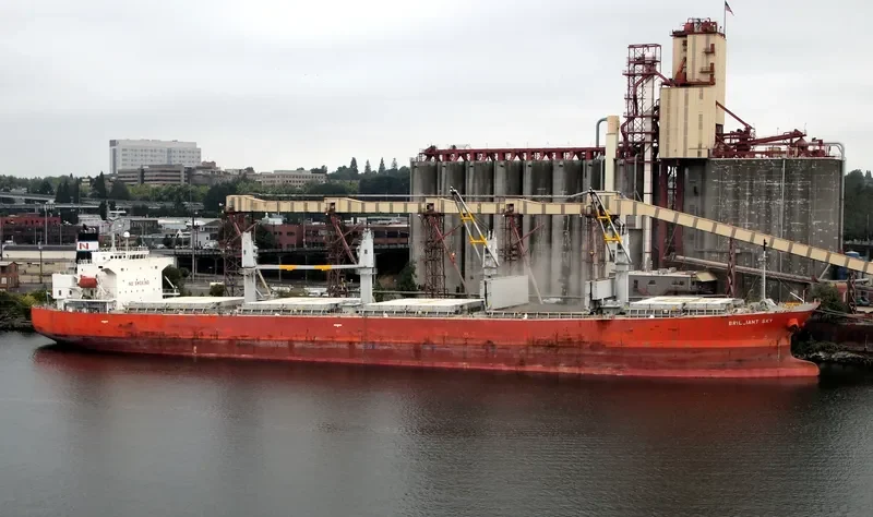TULIP 18 Bulk Carrier IMO 9296743 photo 6