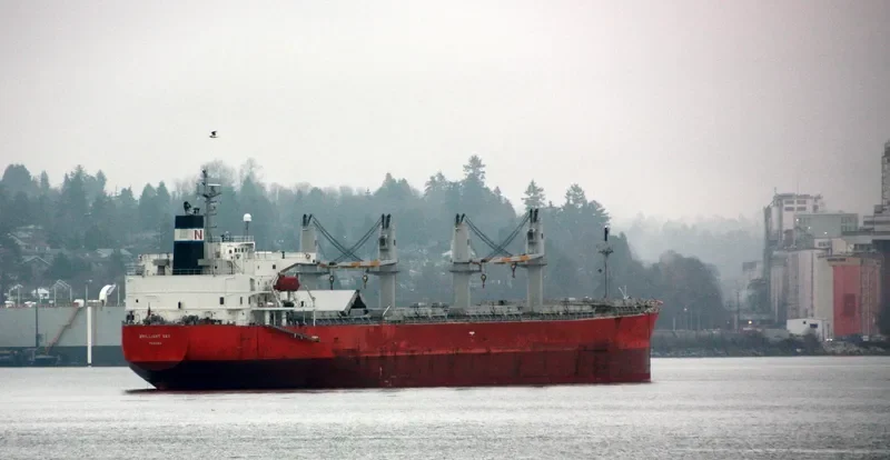 TULIP 18 Bulk Carrier IMO 9296743 photo 7