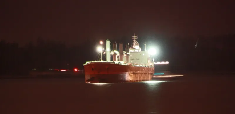 TULIP 18 Bulk Carrier IMO 9296743 photo 8