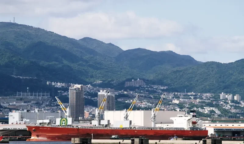 TULIP 18 Bulk Carrier IMO 9296743 photo 9