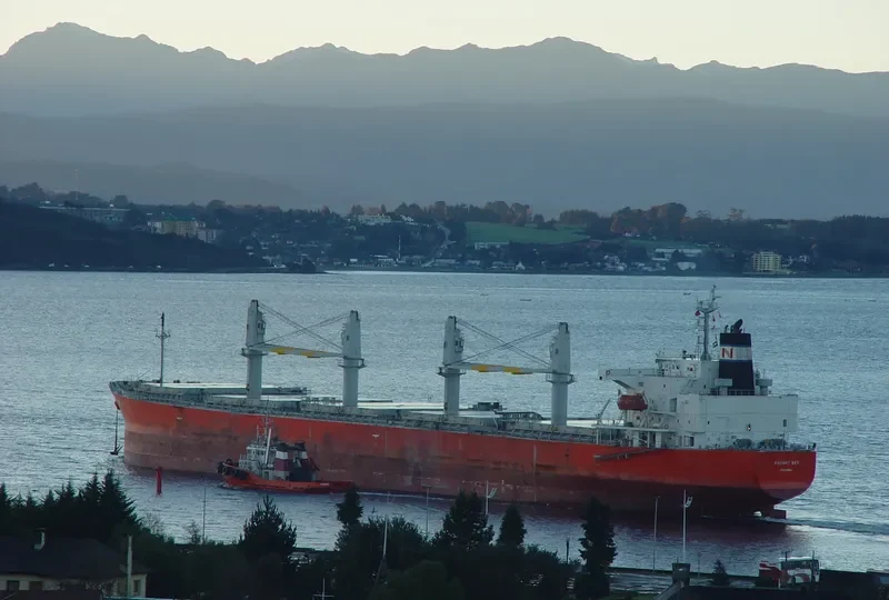 XIANGSHENG HARMONY Bulk Carrier IMO 9296755 photo 5