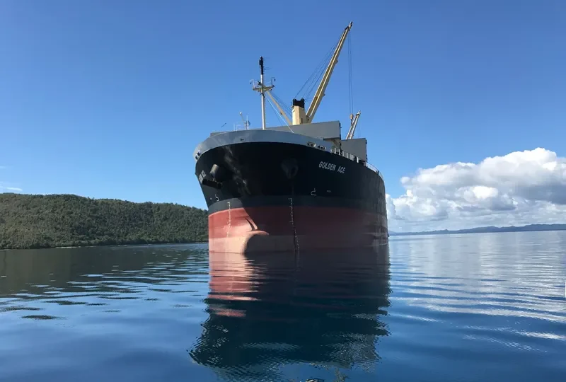 GOLDEN ACE Bulk Carrier IMO 9296767 photo 2