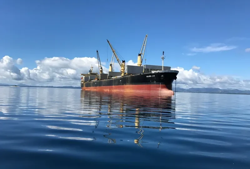 GOLDEN ACE Bulk Carrier IMO 9296767 photo 3