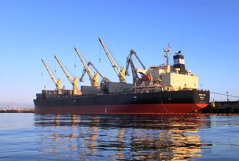 GOLDEN ACE Bulk Carrier IMO 9296767 photo 4