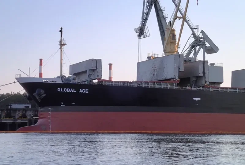 GOLDEN ACE Bulk Carrier IMO 9296767 photo 5