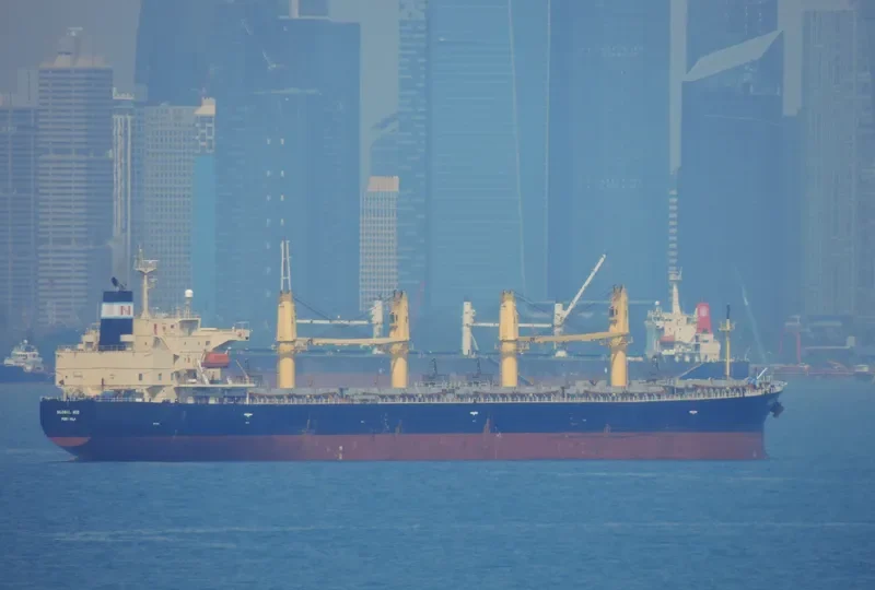 GOLDEN ACE Bulk Carrier IMO 9296767 photo 6