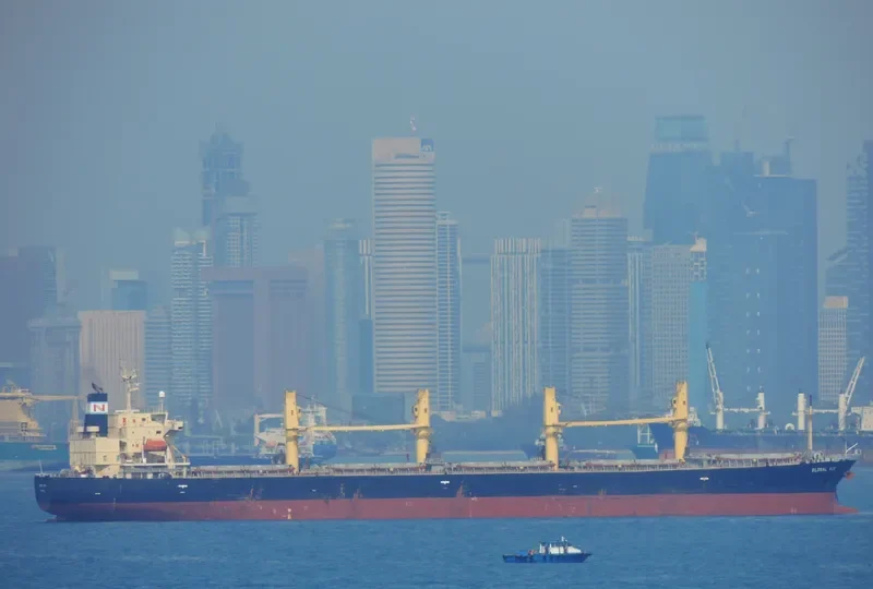 GOLDEN ACE Bulk Carrier IMO 9296767 photo 7