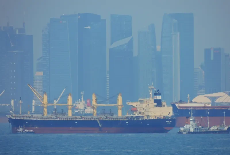 GOLDEN ACE Bulk Carrier IMO 9296767 photo 8