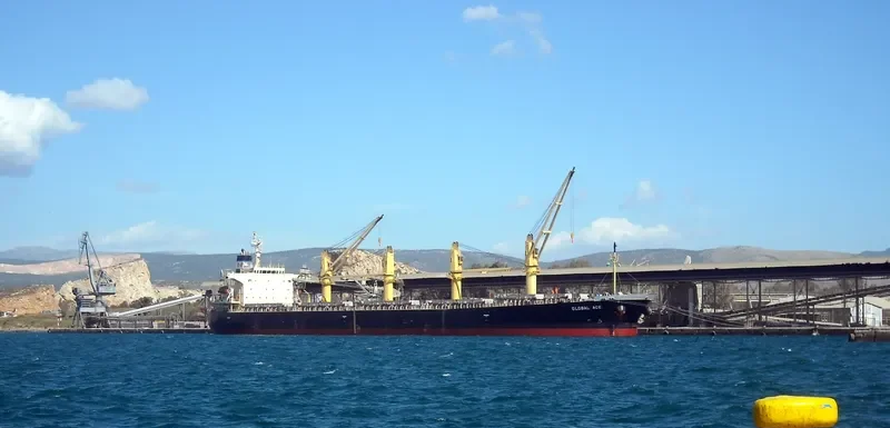 GOLDEN ACE Bulk Carrier IMO 9296767 photo 10