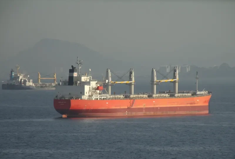 NASHALINA Bulk Carrier IMO 9296779