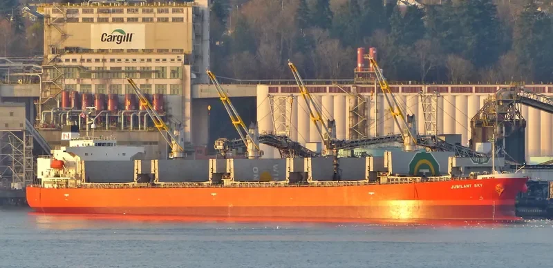 NASHALINA Bulk Carrier IMO 9296779 photo 2