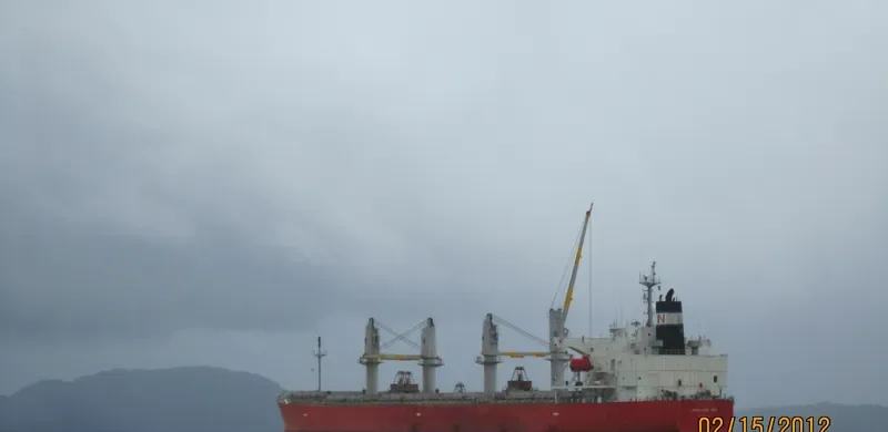 NASHALINA Bulk Carrier IMO 9296779 photo 6