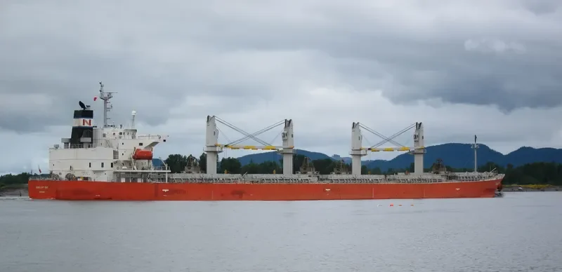 NASHALINA Bulk Carrier IMO 9296779 photo 8
