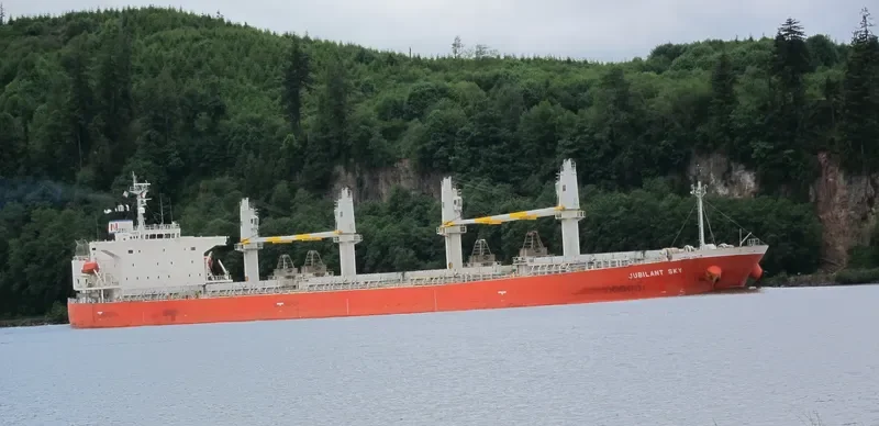 NASHALINA Bulk Carrier IMO 9296779 photo 9