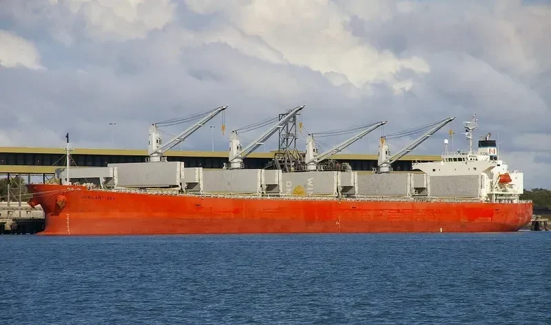 NASHALINA Bulk Carrier IMO 9296779 photo 10