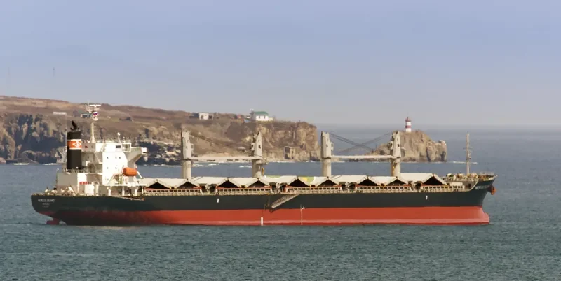 NEW HUNTER Bulk Carrier IMO 9296781 photo 4