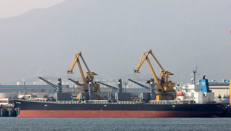 NEW HUNTER Bulk Carrier IMO 9296781 photo 7