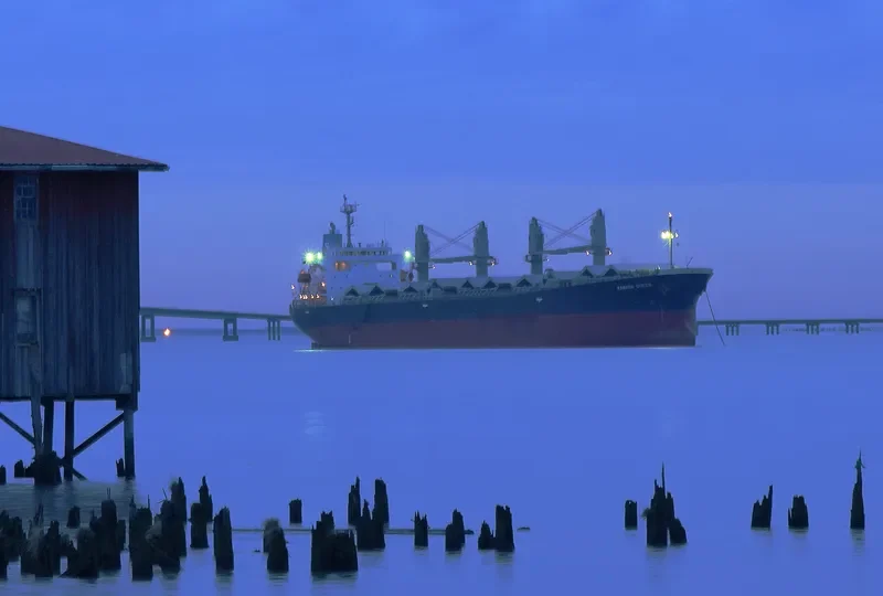 NEW HUNTER Bulk Carrier IMO 9296781 photo 8