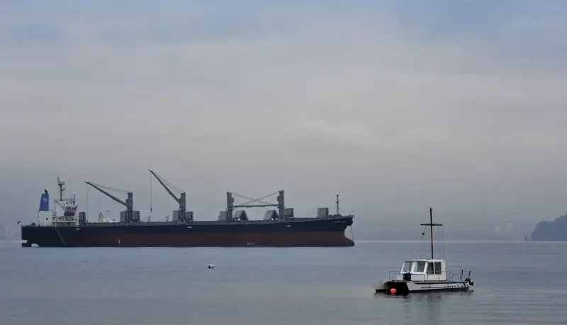 NEW HUNTER Bulk Carrier IMO 9296781 photo 9