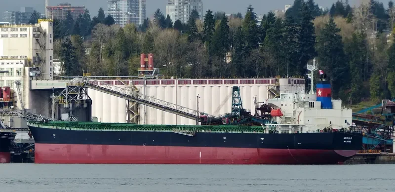 APOLO Bulk Carrier IMO 9296793 photo 2