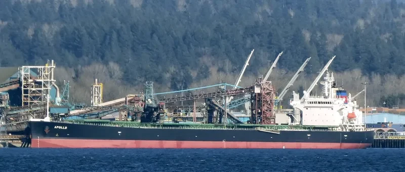APOLO Bulk Carrier IMO 9296793 photo 3