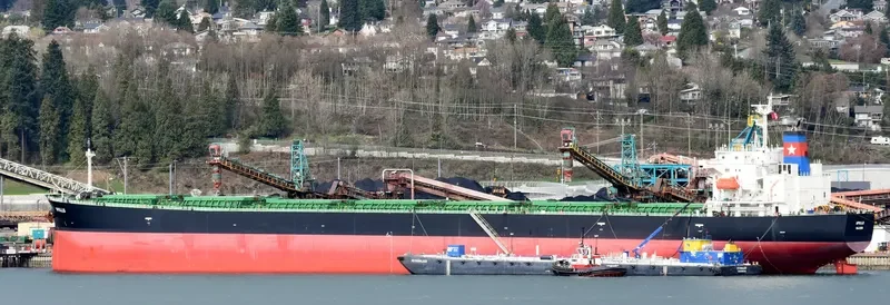 APOLO Bulk Carrier IMO 9296793 photo 4