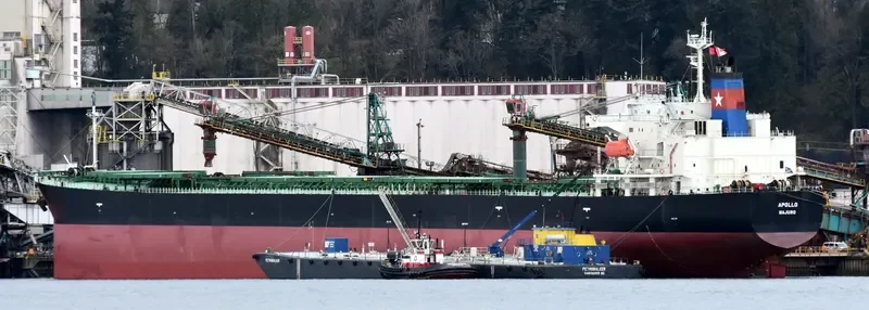 APOLO Bulk Carrier IMO 9296793 photo 5