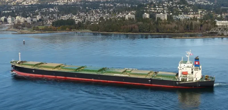 APOLO Bulk Carrier IMO 9296793 photo 7