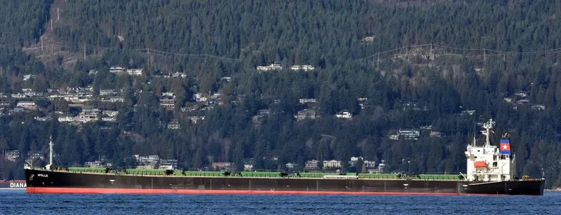 APOLO Bulk Carrier IMO 9296793 photo 9