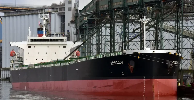 APOLO Bulk Carrier IMO 9296793 photo 10