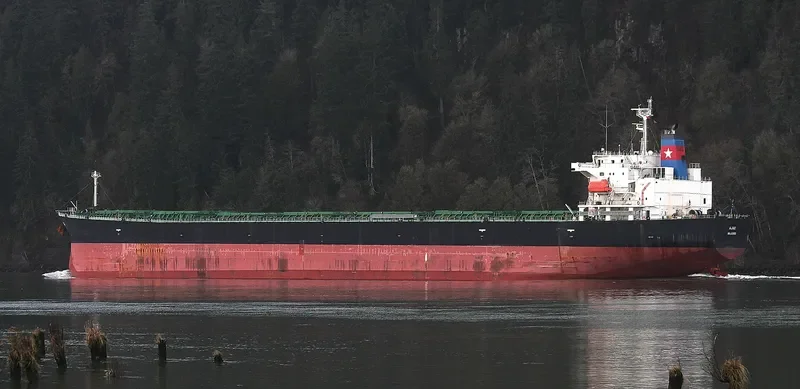 ALFA Bulk Carrier IMO 9296808