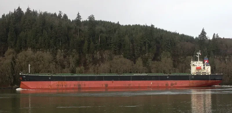 ALFA Bulk Carrier IMO 9296808 photo 2