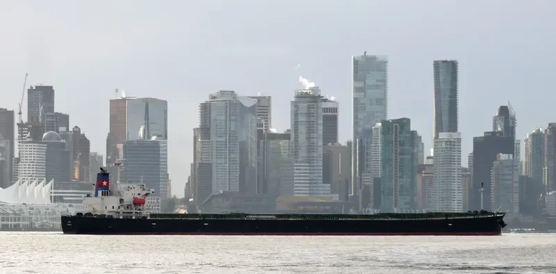 ALFA Bulk Carrier IMO 9296808 photo 7