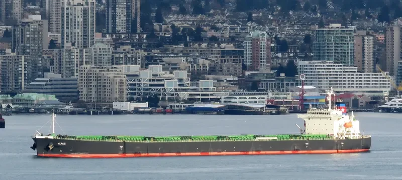 ALFA Bulk Carrier IMO 9296808 photo 8