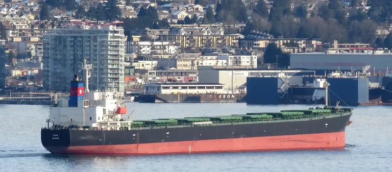 ALFA Bulk Carrier IMO 9296808 photo 9